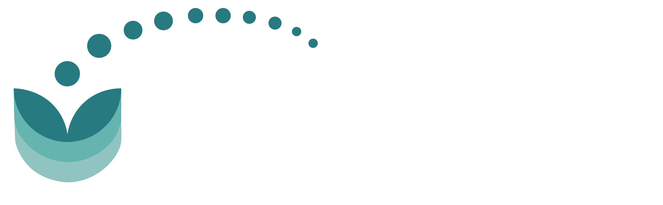 VITA loopbaan coaching Nijmegen